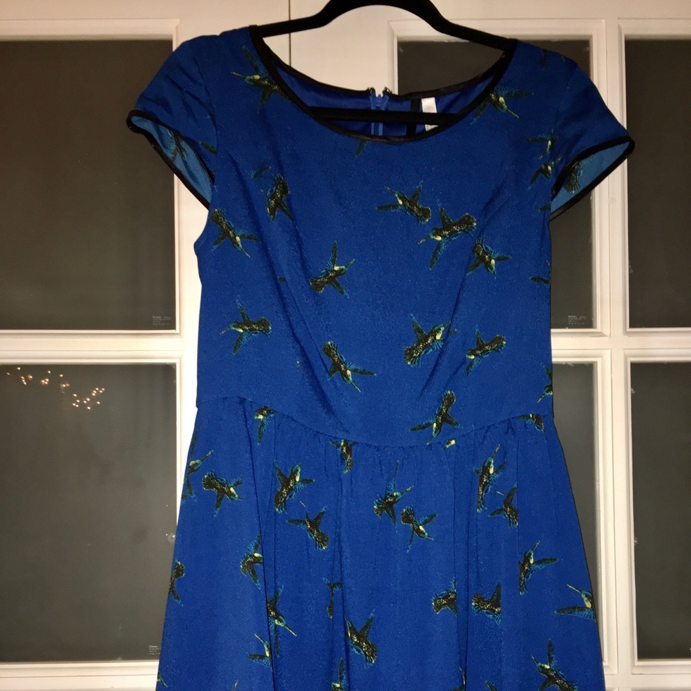 Kensie Blue Hummingbird Dress